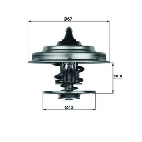 TERMOSTAT (65°)  BİLYALI-ORİNG