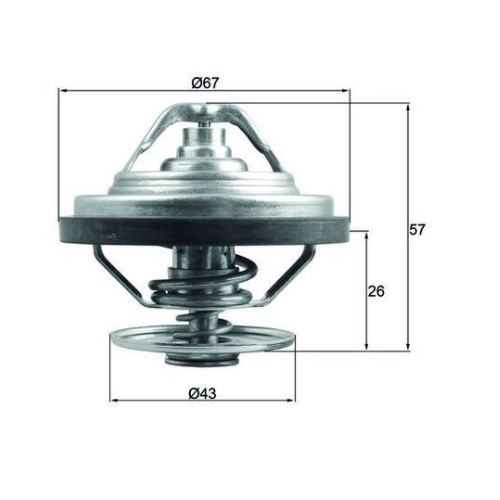 TERMOSTAT (87°)  D2066-D2676 EURO 6