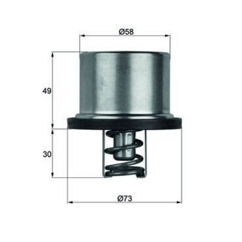 TERMOSTAT (82°)  FH-FM /DAF CF-XF/RVI PREMIUM